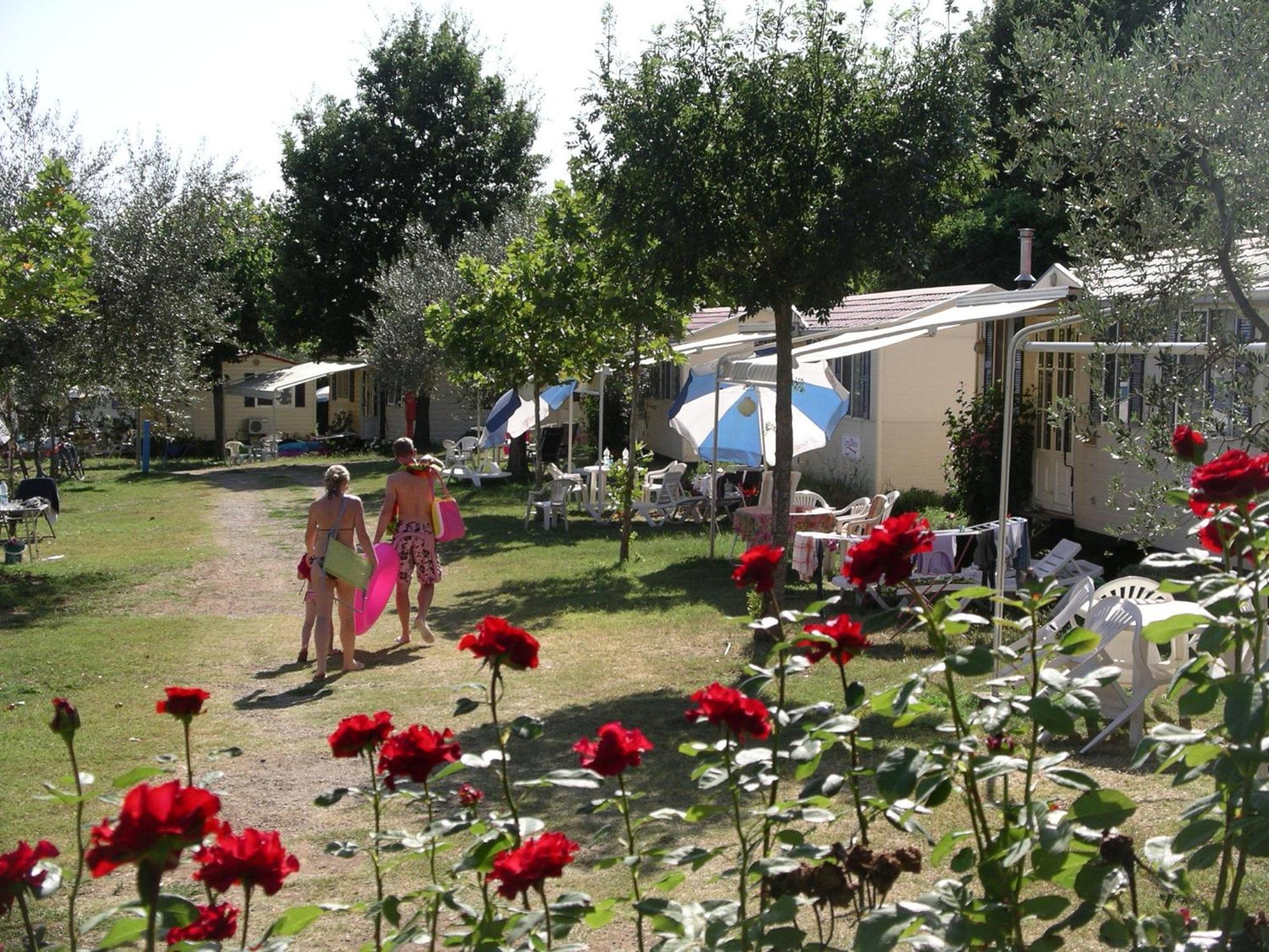 Blu International Camping Bolsena Buitenkant foto